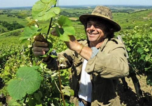 Philippe BORNARD - LE NEZ DANS LE VERT salon des vignerons bio du Jura